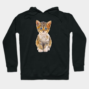 Kitten Hoodie